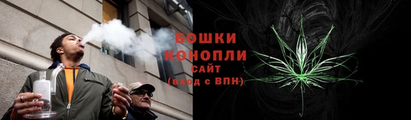ГАЛЛЮЦИНОГЕННЫЕ ГРИБЫ Алексин