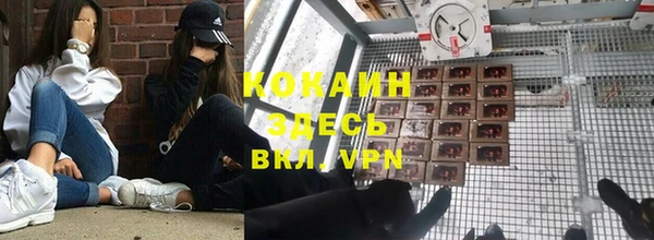ГАЛЛЮЦИНОГЕННЫЕ ГРИБЫ Алексин