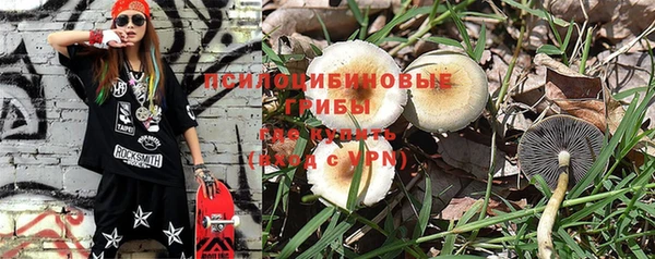 не бодяженный Аркадак